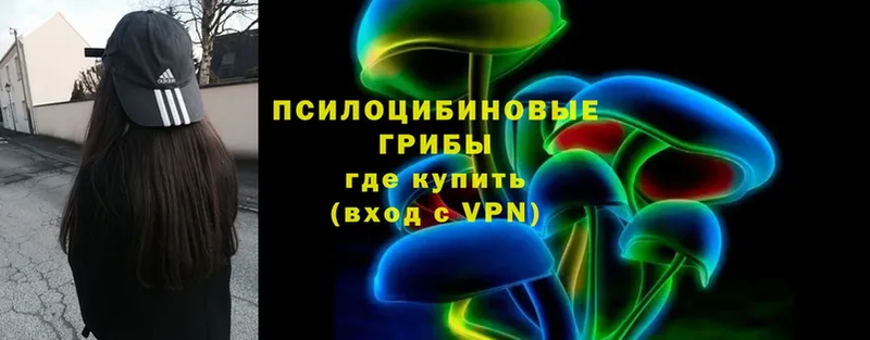 Галлюциногенные грибы MAGIC MUSHROOMS  цена наркотик  Рязань 